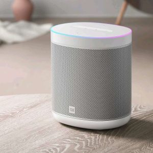 Mi Smart Speaker
