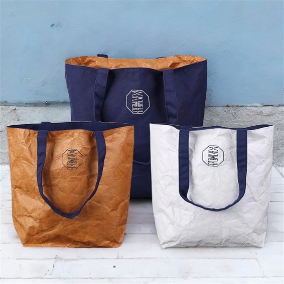 Reversible Tyvek Bag