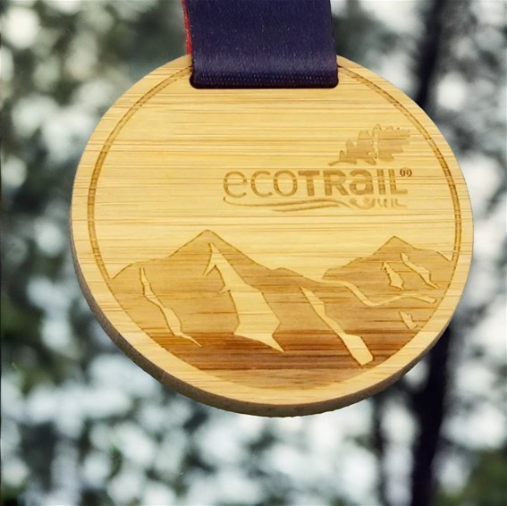 Round Wooden Medal