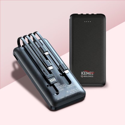 Portable power bank with built-in cables