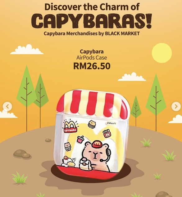 Capybara merchandise - airpod case