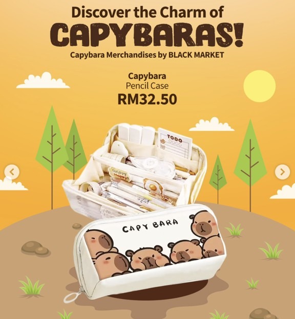 Capybara merchandise - pencil case