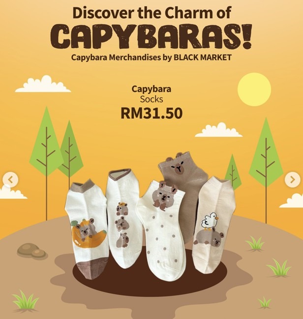 Capybara merchandise socks