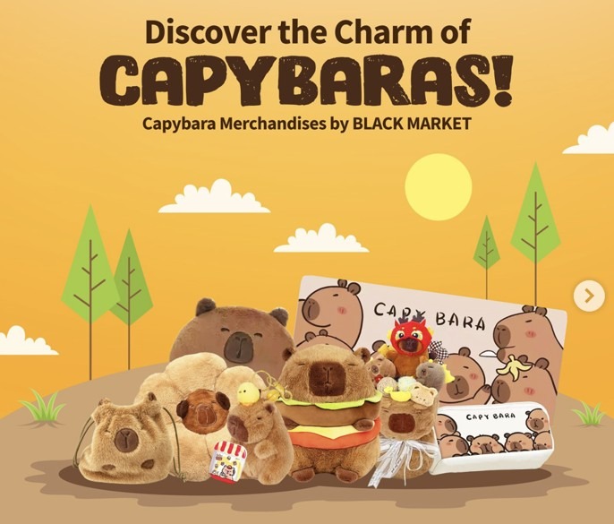 Capybara merchandise