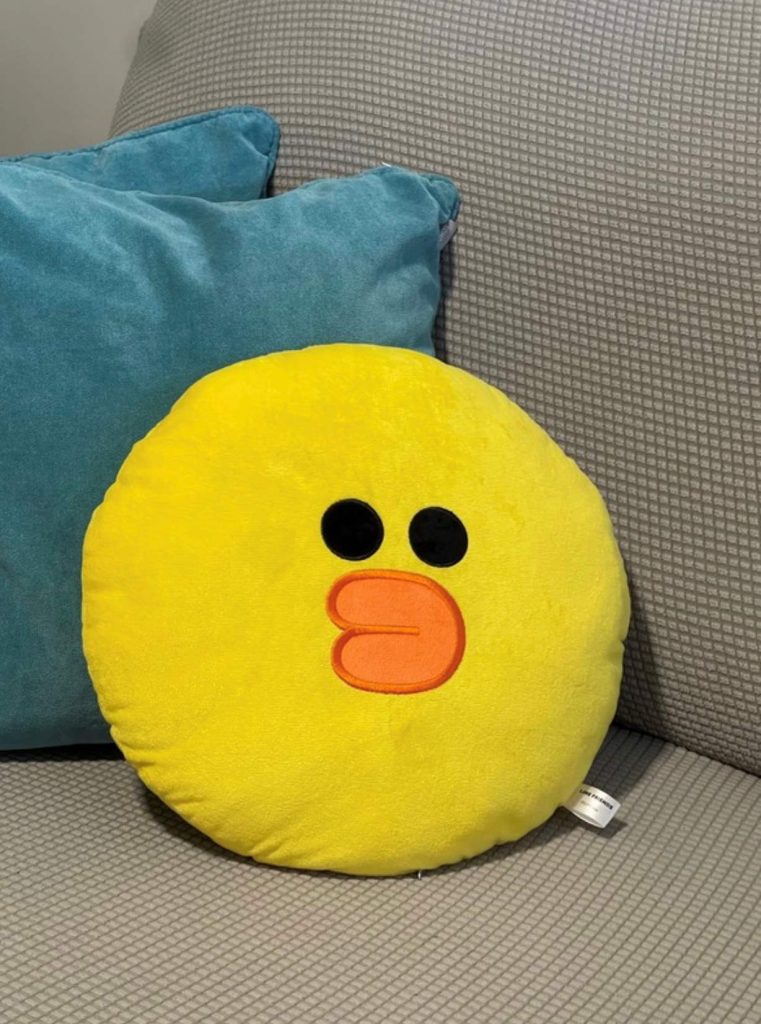 Line friends cushion - Darlie GWP - Sally