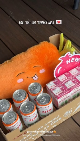 Pokka - Carrot plush cum blanket Influencer Kit