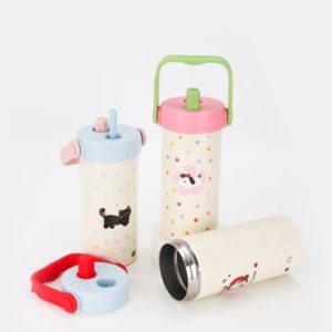 Stainless Steel Thermal Bottle with Handle